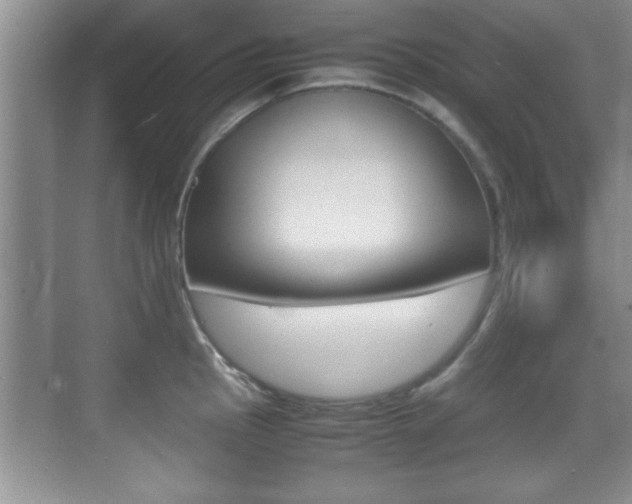 X0000070391145200606090854