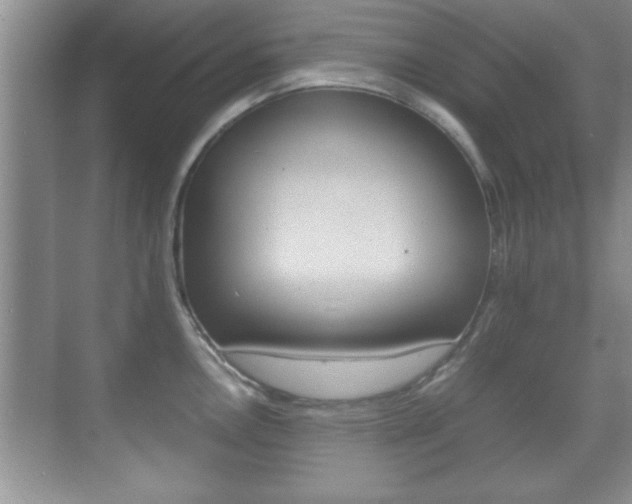 X0000070391146200606090854