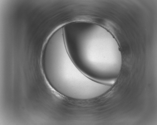 X0000070391147200606090854