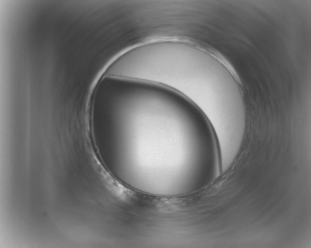 X0000070391148200606090854