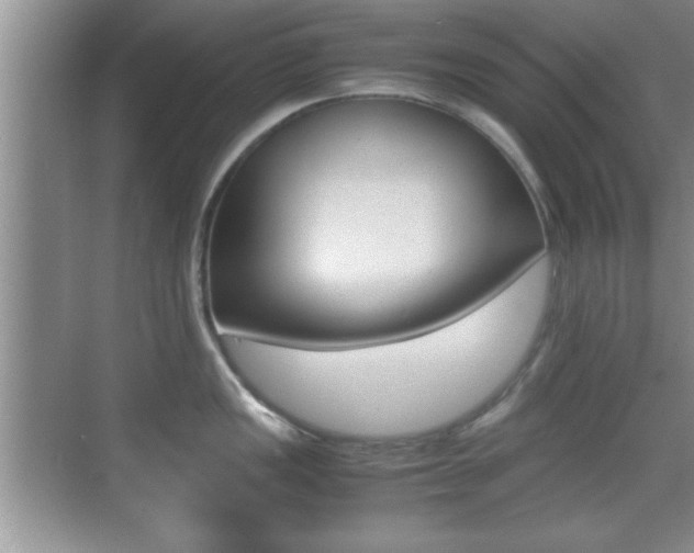 X0000070391149200606090854