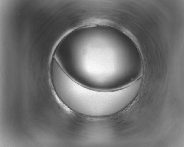 X0000070391152200606090854