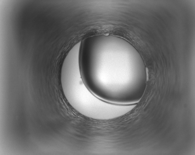 X0000070391153200606090853