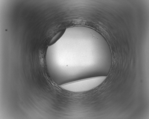 X0000070391154200606090853