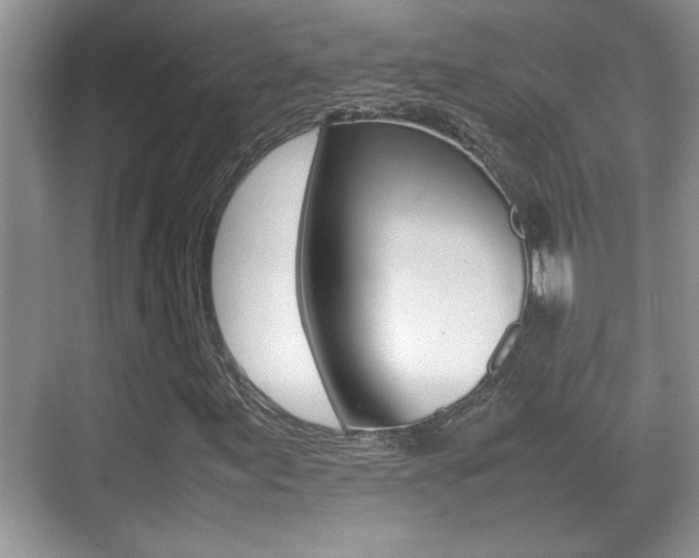 X0000070391155200606090853