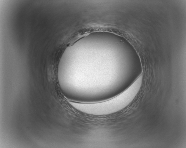 X0000070391157200606090853