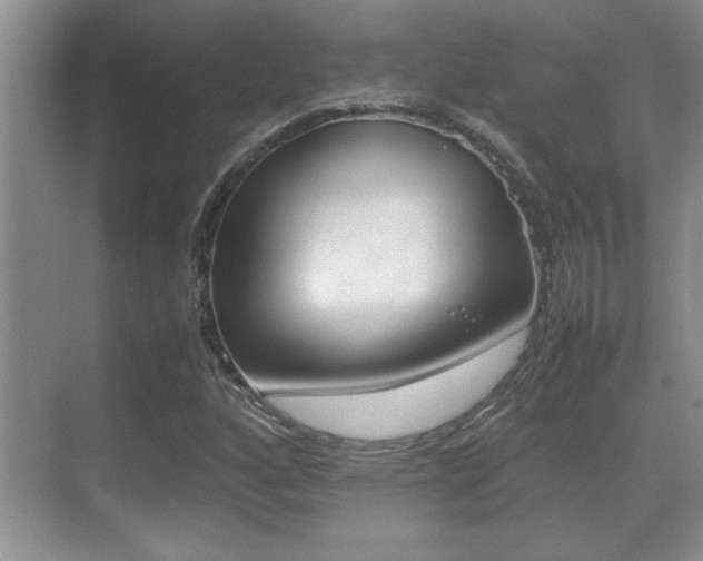 X0000070391160200606090853