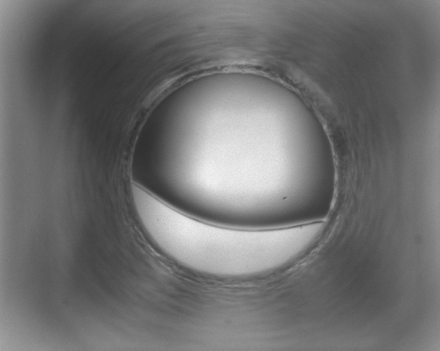X0000070391169200606090853