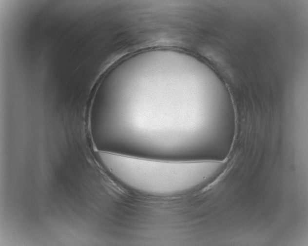 X0000070391170200606090853