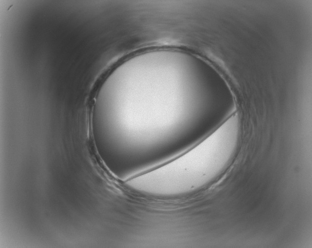 X0000070391171200606090853