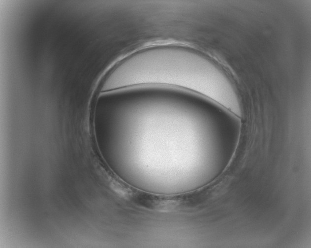 X0000070391173200606090853