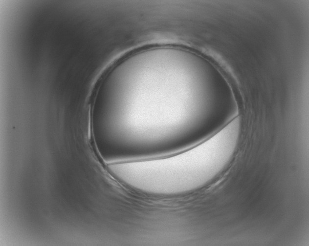 X0000070391175200606090853