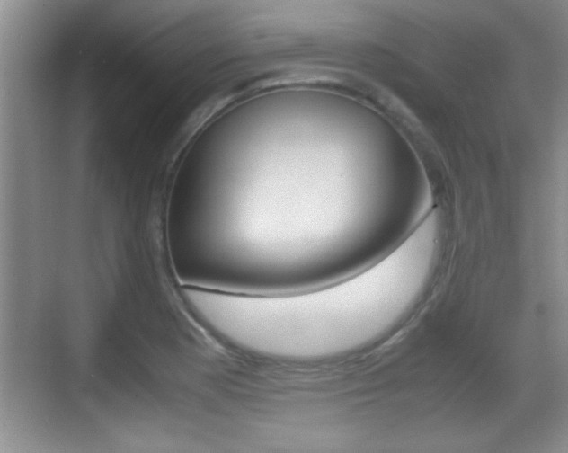 X0000070391177200606090853