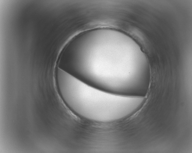 X0000070391182200606090853