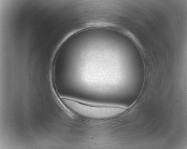 X0000070391187200606090853