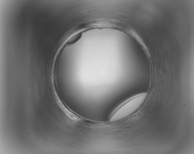 X0000070391195200606090852