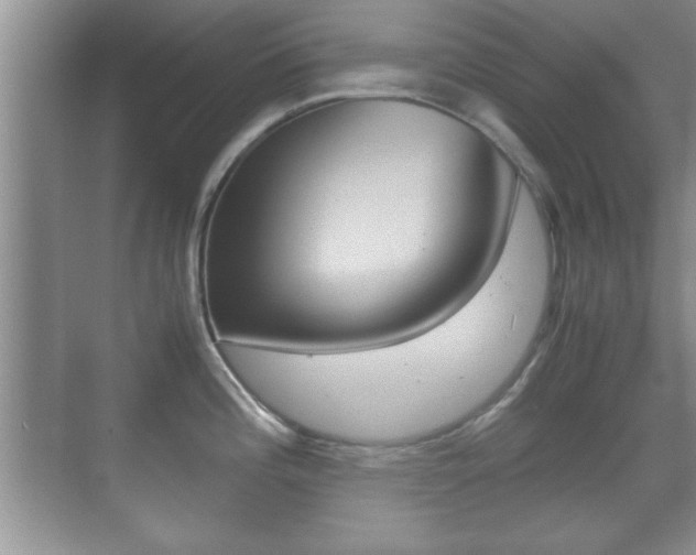 X0000070391196200606090852