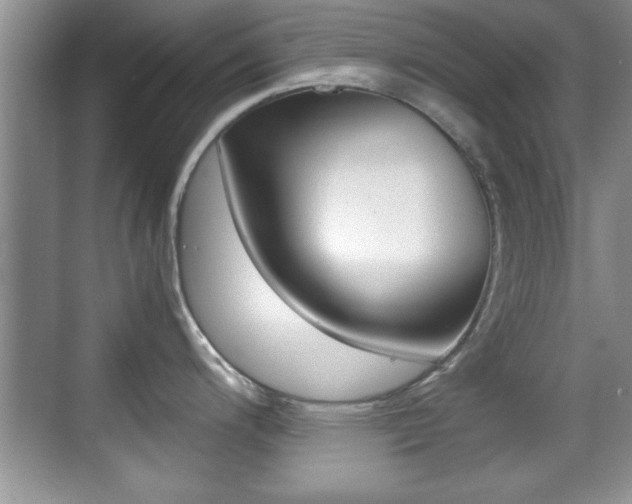 X0000070391200200606090852