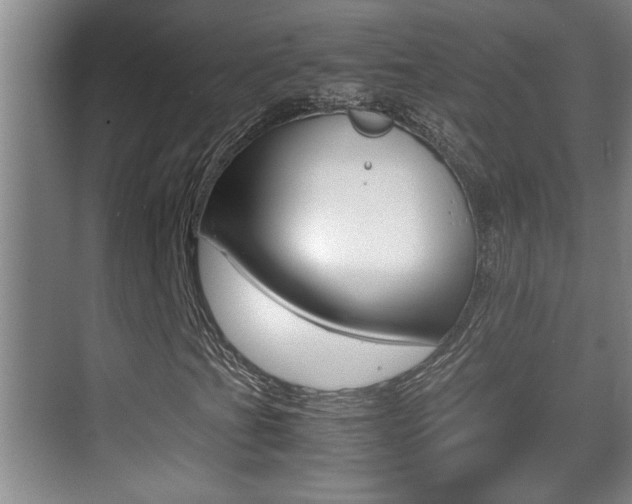 X0000070391201200606090852