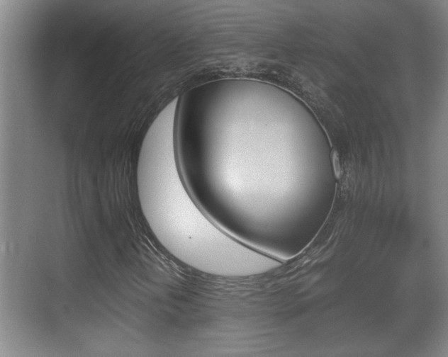 X0000070391202200606090852