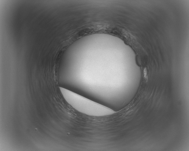 X0000070391203200606090852