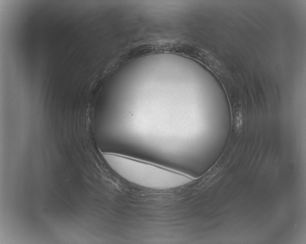 X0000070391204200606090852