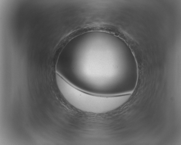 X0000070391206200606090852