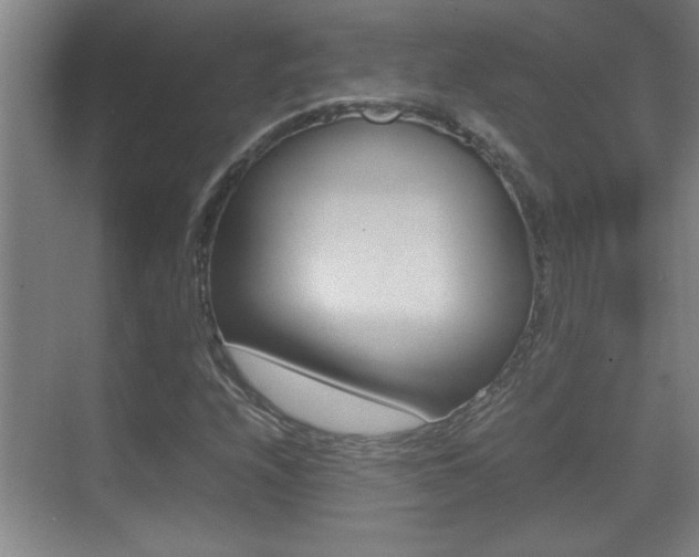 X0000070391208200606090852