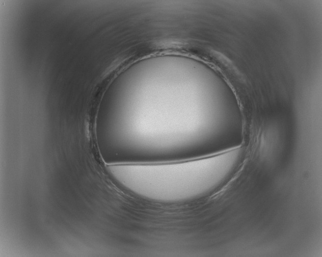 X0000070391209200606090852