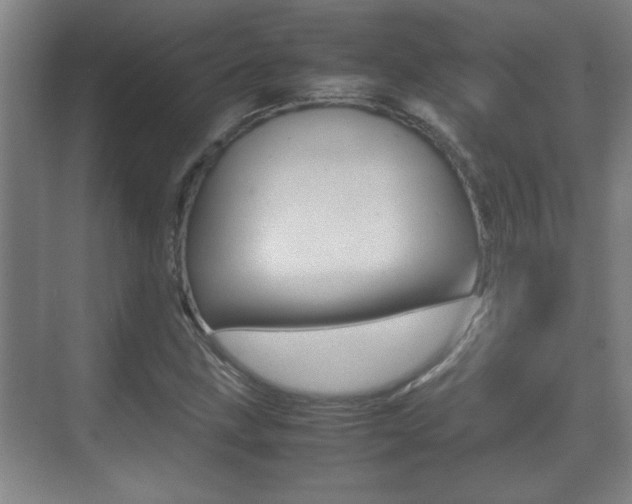 X0000070391211200606090852