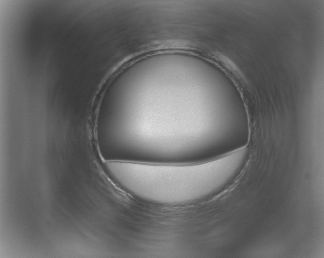 X0000070391212200606090852