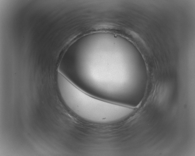 X0000070391217200606090852