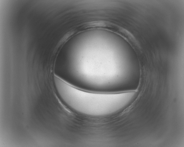 X0000070391225200606090852