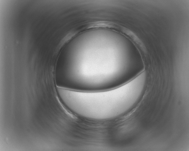 X0000070391233200606090852