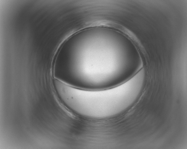 X0000070391234200606090852