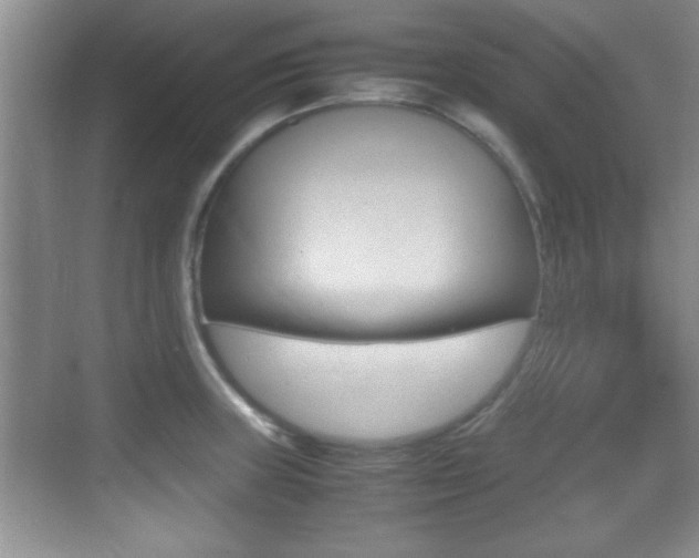 X0000070391235200606090852