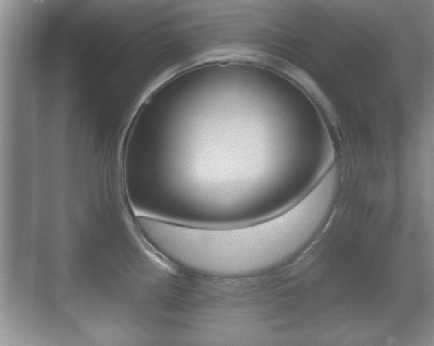 X0000070391242200606090852
