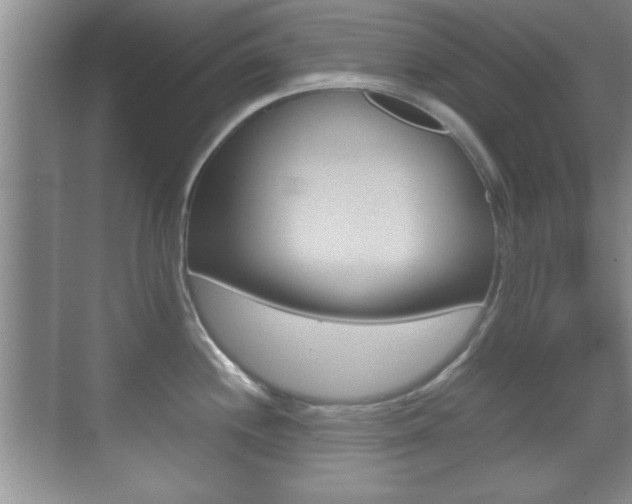 X0000070391244200606090852