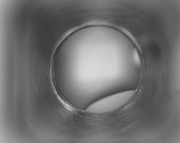 X0000070391245200606090852