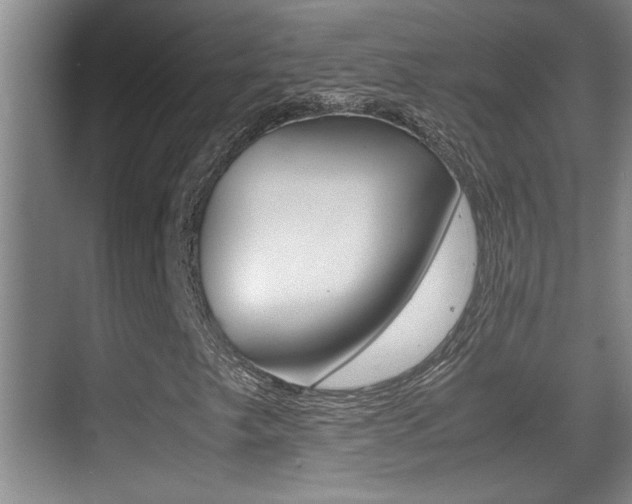 X0000070391249200606090852