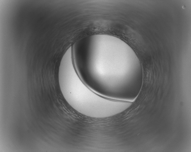 X0000070391250200606090852
