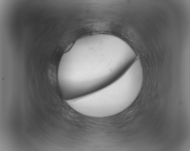 X0000070391251200606090852