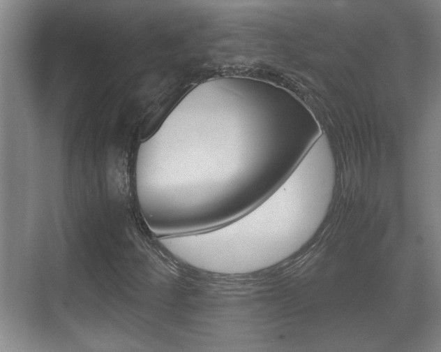 X0000070391252200606090852