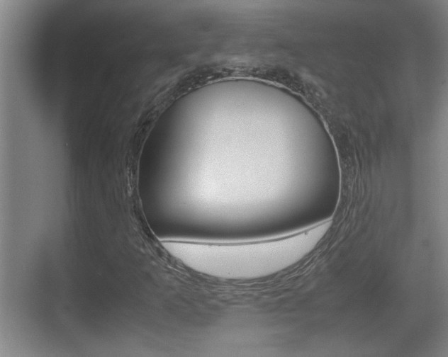X0000070391253200606090852