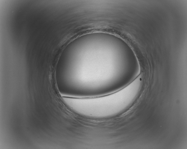 X0000070391257200606090851