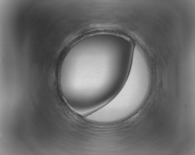 X0000070391261200606090851