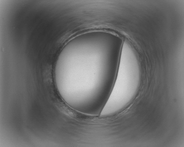 X0000070391265200606090851