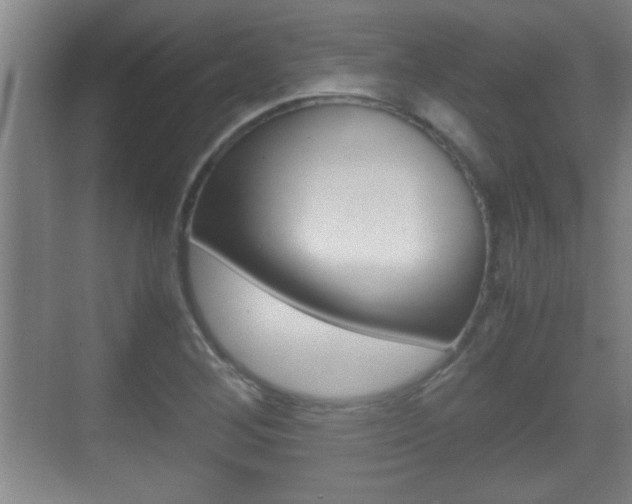 X0000070391268200606090851