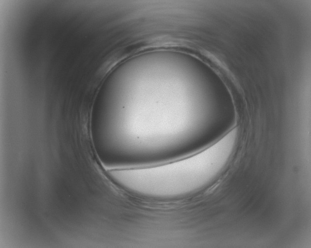 X0000070391273200606090851