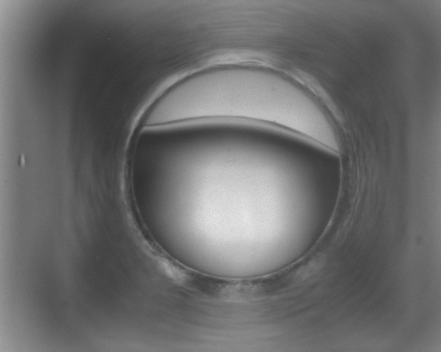 X0000070391277200606090851
